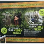 A poster advertising the zoo 's animal experiences.